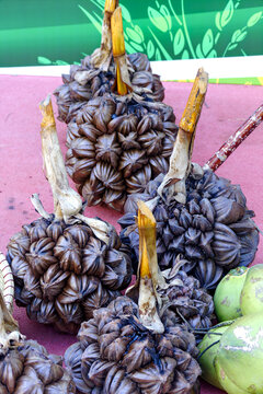 Tropical dua nuoc nipa palm fruit clusters and green coconuts showcasing Mekong Delta agriculture.