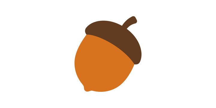Brown and orange acorn illustration on transparent background for autumn harvest and nature themes.