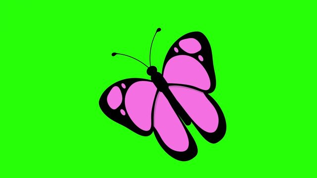 Pink butterfly with black outlines and wing 4k stock animation video on a green screen background for chroma key background for video editing.