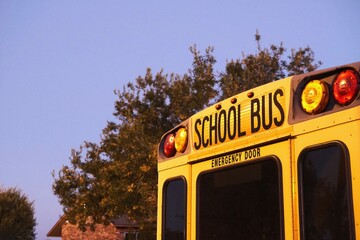yellow school bus © pak