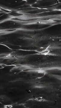Black and white  of calm water