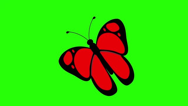 Red butterfly with black outlines and wing 4k stock animation video on a green screen background for chroma key background for video editing.
