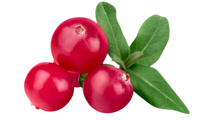 red berries, red berry, berries, berry PNG, red berries PNG, fresh berries, berry fruit, berry image, berry picture, ripe berries, png © Canva
