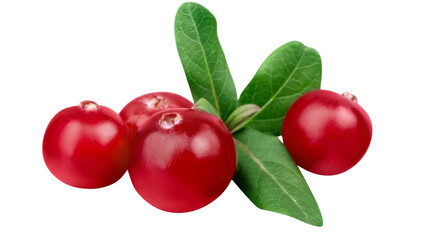 red berries, red berry, berries, berry PNG, red berries PNG, fresh berries, berry fruit, berry image, berry picture,  png © Canva