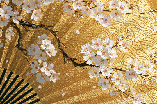 Elegant Cherry Blossoms on Golden Japanese Fan Background
