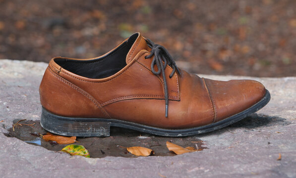 Gebrauchter brauner Herren-Business-Schuh aus Leder auf einem nassen Stein mit herabgefallene Bl&auml;tter im Herbst, herbstliche Stimmung, Nahaufnahme mit unscharfem herbstlichen Hintergrund