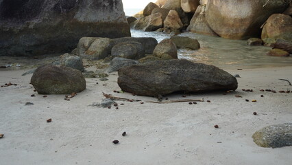 Scattered granite rocks and dried seeds laying on a fine white sand beach with shallow ocean water in the background. © Ahmad