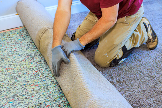 Handyman works on laying down new carpet in home room