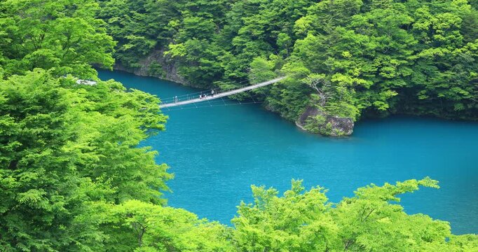 寸又峡の夢の吊橋