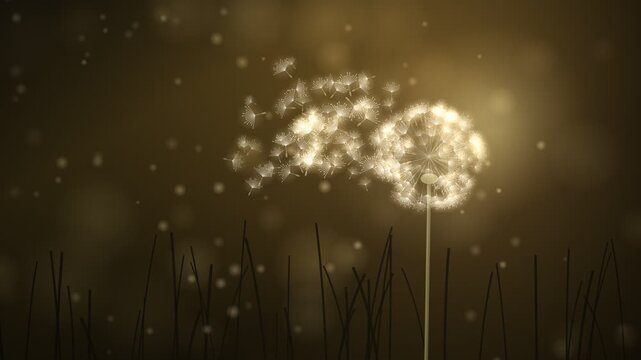 Dandelion Seeds Dispersing In Wind Reveal Animation