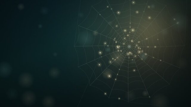 Spider Web With Dew Drops Swaying Seamless Loop