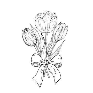 Vector tulip and daffodil flowers bouquet with bow. Graphic spring, easter hand drawn illustration isolated on background. Botanical and wedding, baby clip art. For greeting card, wallpaper, wrapping