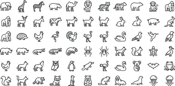 Large grid pack of wild and domestic fauna outline symbols for zoo map or educational chart vector