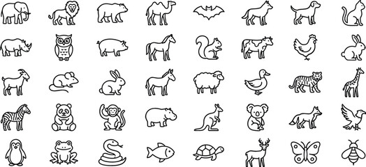 Fototapeta premium Large collection of wild and domestic animal line icons including mammals birds reptiles and insects vector