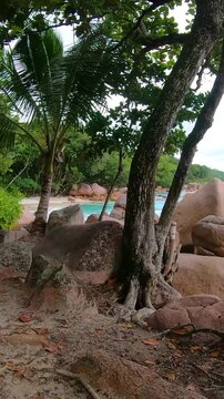 Vertical POV walk on Anse Lazio beach in Seychelles with turquoise water, white sand, granite rocks and lush tropical vegetation.