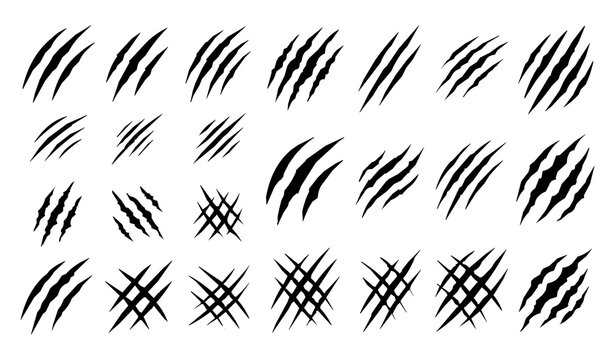 Collection of tiger claw scratch and slash marks with crossed scratches in black silhouette for wildlife themed design