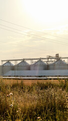 Industrial grain silos stand tall against a hazy sky at sunset © shine.graphics