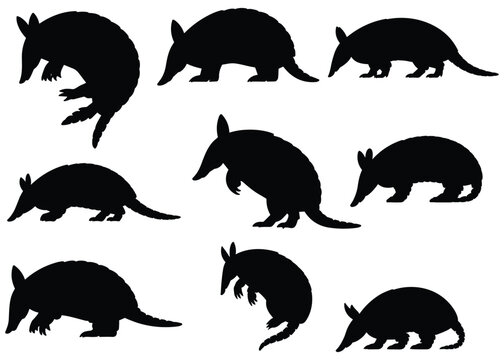 Nine armadillo silhouettes against a white background