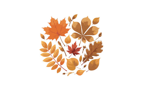Autumn leaf vector element set in circle layout with orange maple oak chestnut rowan birch forest foliage leaves for thanksgiving design