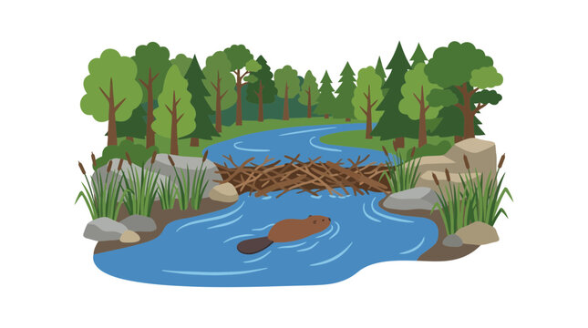 Flat vector beaver swimming near a wooden dam in forest
