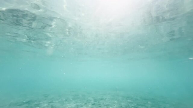 Shallow underwater view with sandy sea floor and clear ocean water