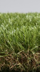 Fototapeta premium Artificial Grass Cross-Section: Detailed View of Green Synthetic Turf with Brown Base Layer Against Grey Background