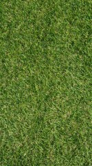 Obraz premium Vibrant Green Grass Texture Background