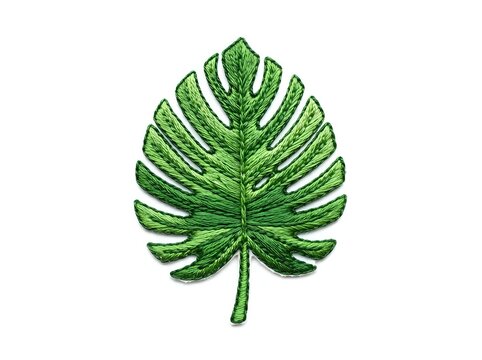 Monstera deliciosa leaf with natural split patterns and detailed