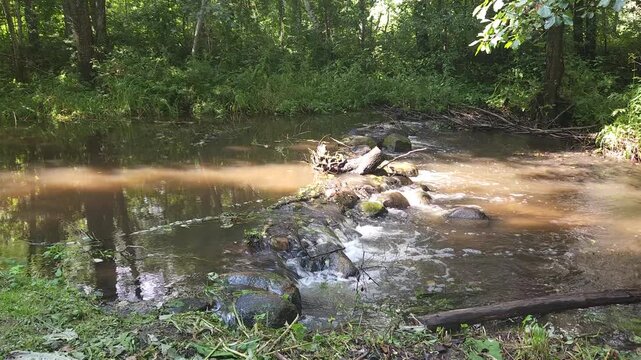 Scenic view of a calm stream with stones and lush greenery  