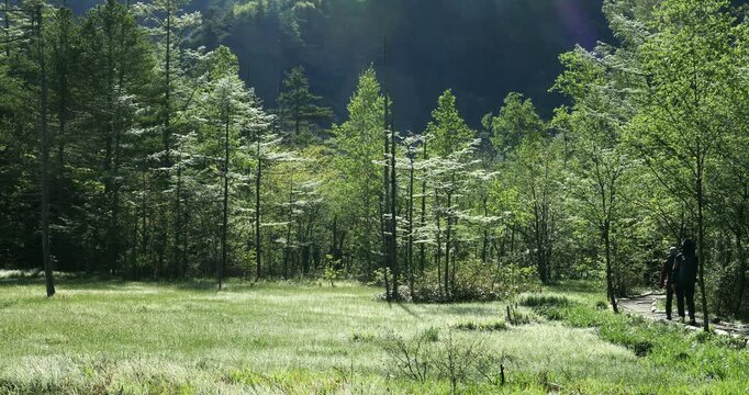 上高地の朝の田代湿原