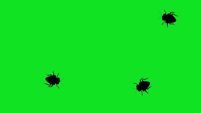 Numerous black cockroach silhouettes crawl across a vibrant green screen background