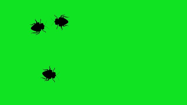 Numerous black cockroach silhouettes crawl across a vibrant green screen background