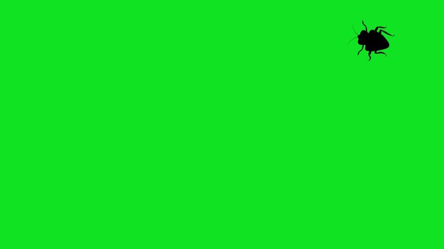 Numerous black cockroach silhouettes crawl across a vibrant green screen background