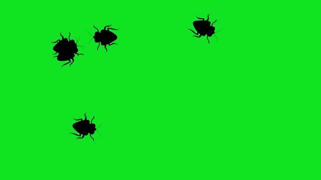 Numerous black cockroach silhouettes crawl across a vibrant green screen background