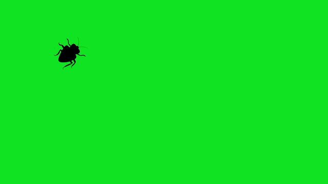 Numerous black cockroach silhouettes crawl across a vibrant green screen background