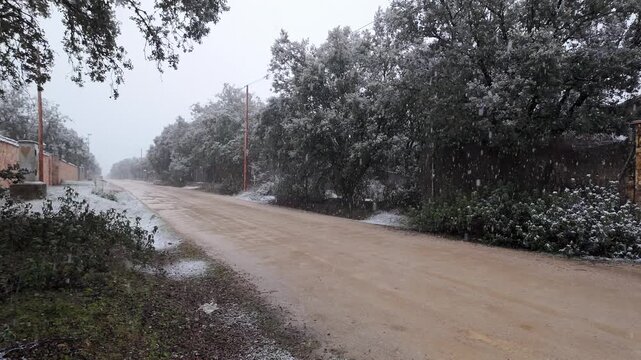 Snow falling on a wet rural dirt road lined with trees and walls during overcast winter weather