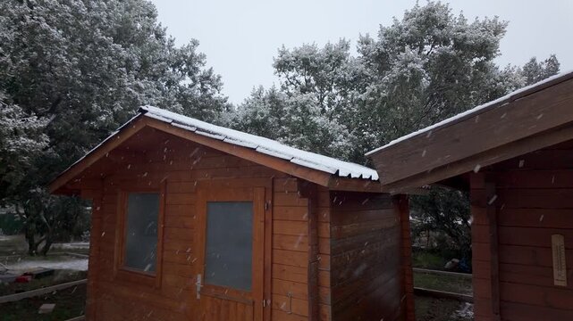 Snow falling around a wooden shed with snow covered roof and trees during cold overcast winter weather