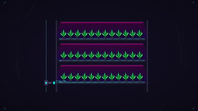 Smart Automated Vertical Farming System with Digital Monitoring Interface