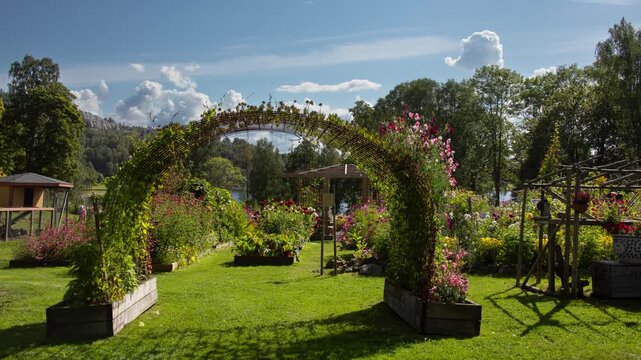 Blooming flower garden landscape with cloudscape time lapse.