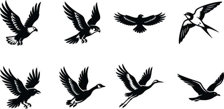 Bird in Flight Vector Silhouette Set, Freedom Flying Eagle Hawk