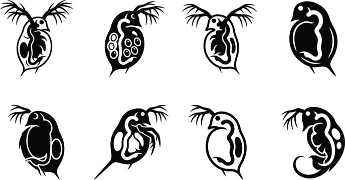 Daphnia Water Flea Vector Silhouette Set, Zooplankton Microscopic Aquatic Crustacean Icons