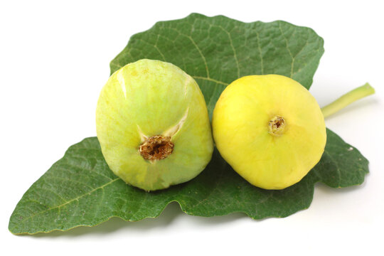 Fresh Yellow Green Figs with Fig Leaf Isolated on White Background