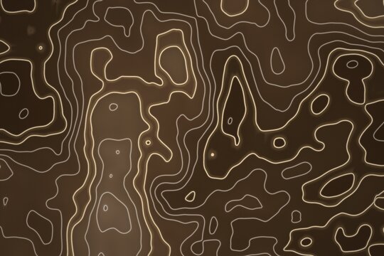 Abstract Topographic Lines Pattern