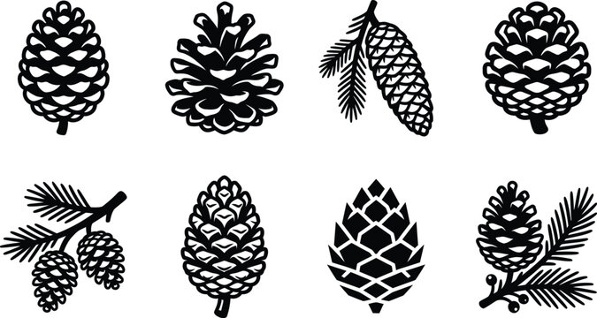 Pine Cone Vector Silhouette Set, Natural Forest Pinecone Icons