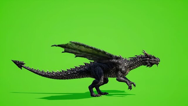 Fierce black dragon with large wings in mid-stride on a green screen background with dynamic movement and cinematic quality for fantasy projects.
