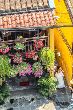 Rue fleurie dans la vieille ville de Hoi An, Vietnam