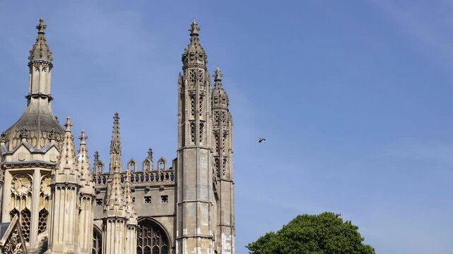 Horizontal 4K low angle shot of a bird flying past historic stone gothic towers and spires framed by a green tree under a clear blue sky in the United Kingdom