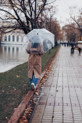 A woman in a beige coat and transparent umbrella walks away down a wet park path lined with fallen autumn leaves during the rain.  © tatiana