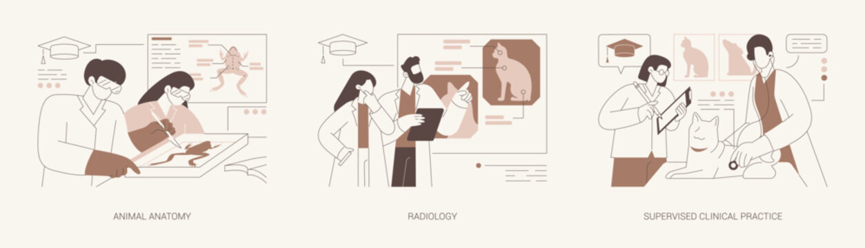 Doctor of Veterinary Medicine isolated cartoon vector illustrations se