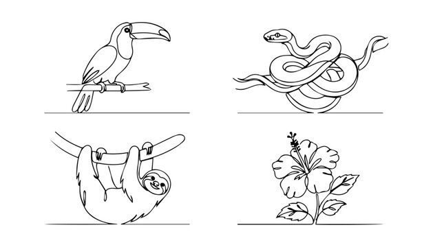 Continuous line art tropical animals vector set with toucan sloth snake and flower icons